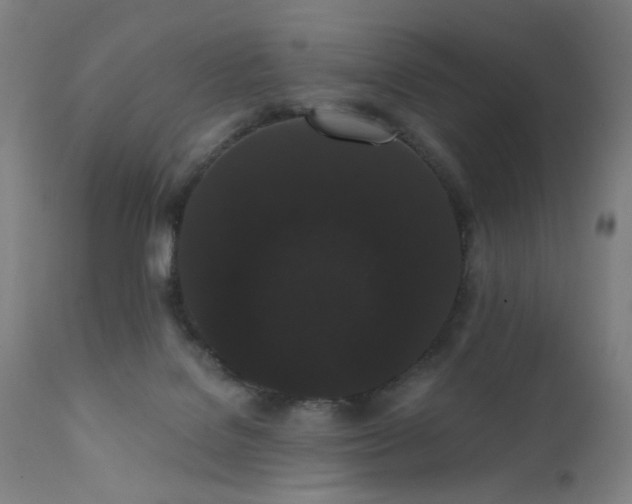 X0000111460076200907131505