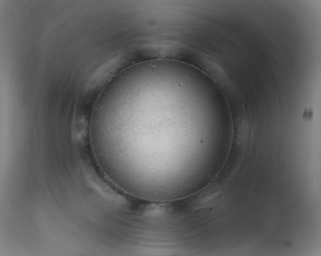 X0000111460077200907131505