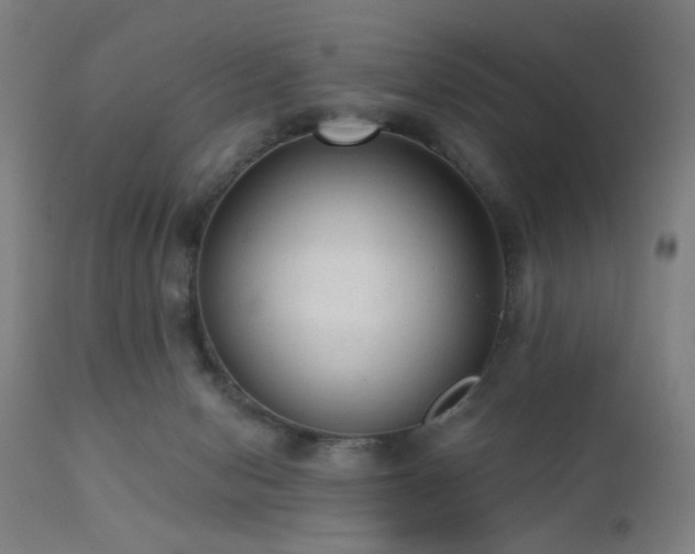 X0000111460078200907131505