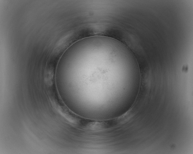 X0000111460082200907131505