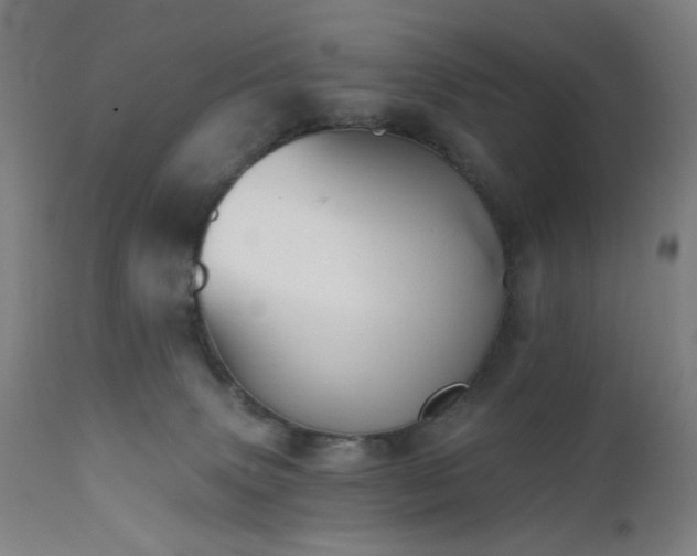 X0000111460083200907131505