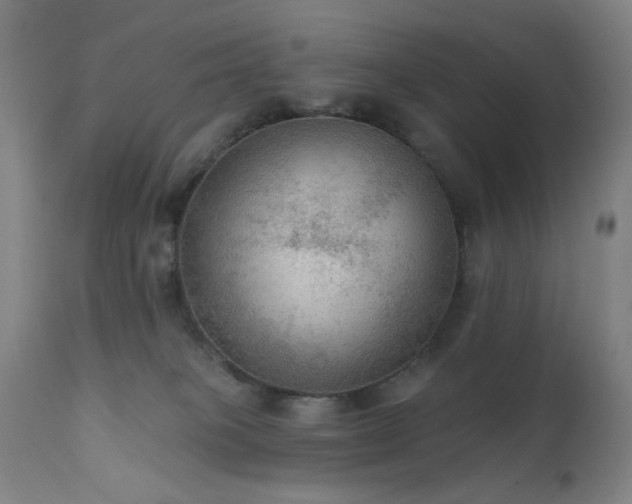 X0000111460085200907131505