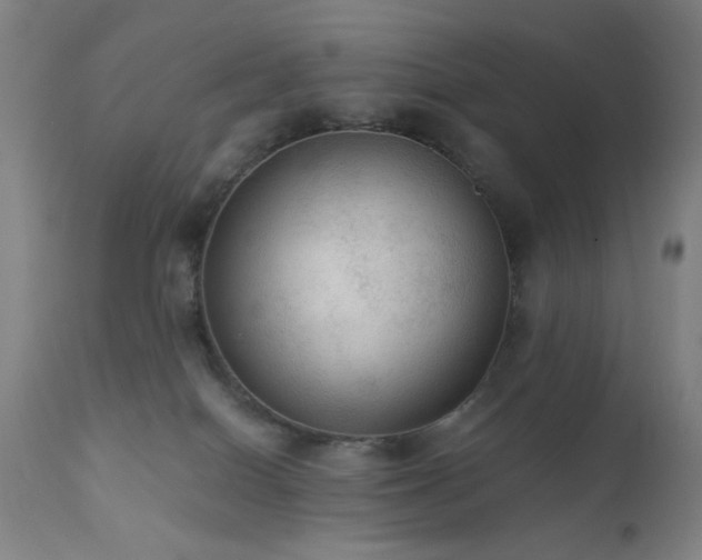 X0000111460086200907131505