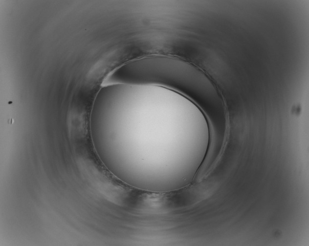 X0000111460088200907131505