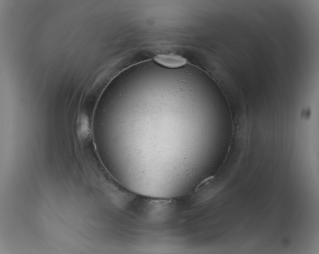 X0000111460089200907131505