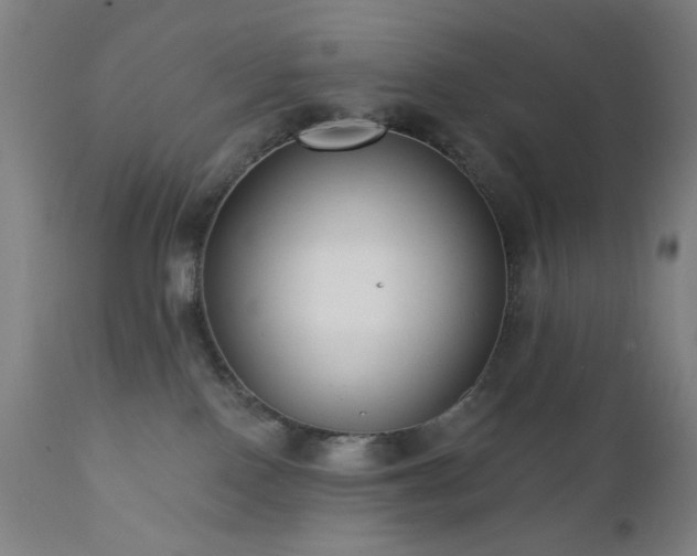 X0000111460090200907131505