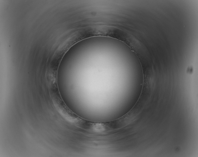 X0000111460091200907131505