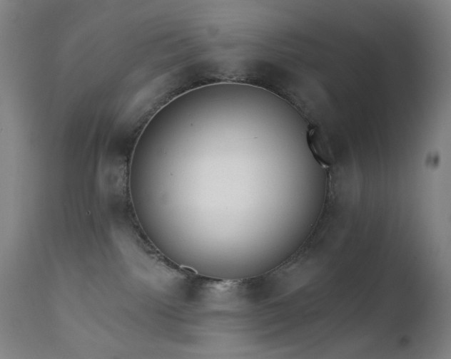 X0000111460092200907131505