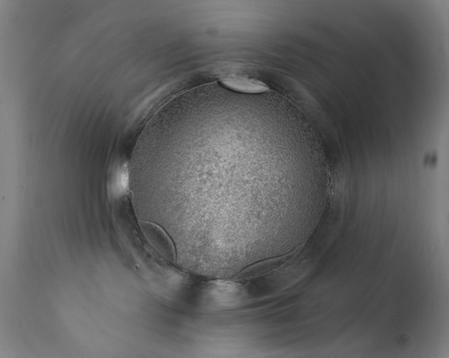 X0000111460095200907131505