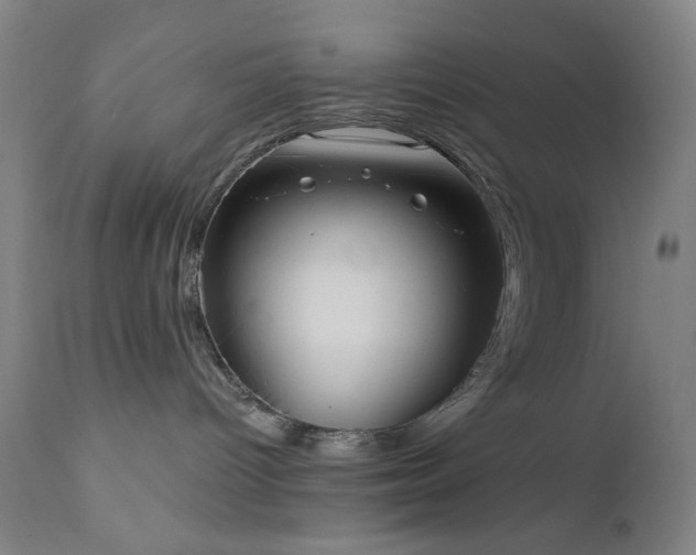 X0000111460096200907131505