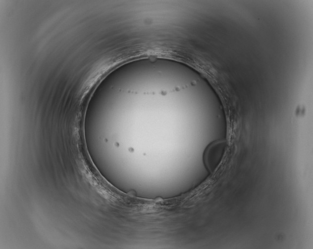 X0000111460098200907131505