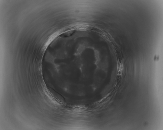 X0000111460099200907131505