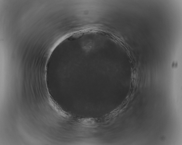 X0000111460100200907131505