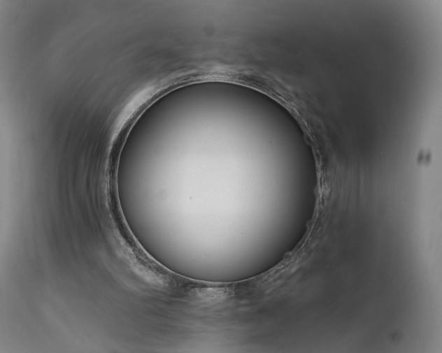 X0000111460102200907131505