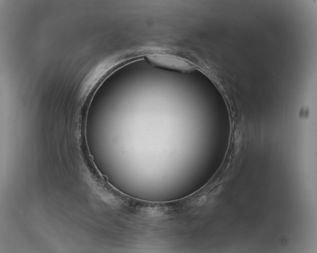 X0000111460103200907131505