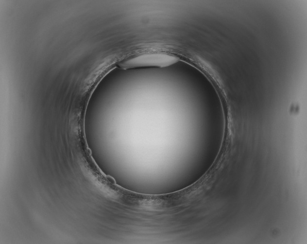 X0000111460105200907131505