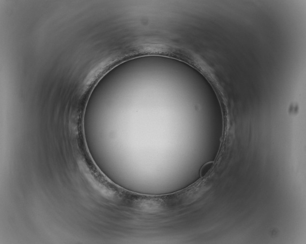 X0000111460106200907131505