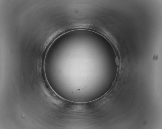 X0000111460107200907131505