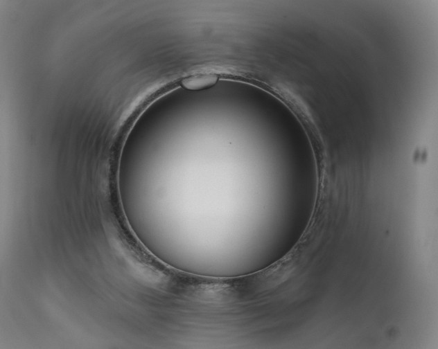 X0000111460108200907131505