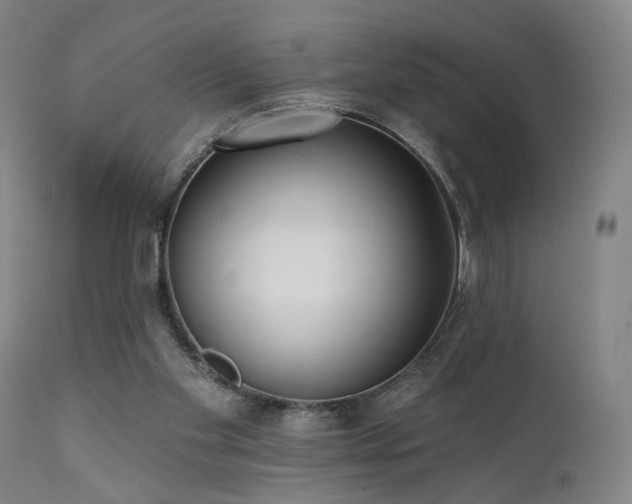 X0000111460109200907131505