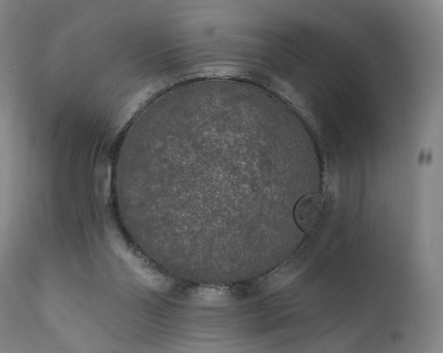 X0000111460110200907131505