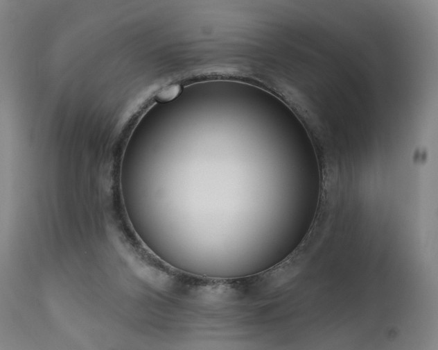 X0000111460112200907131504
