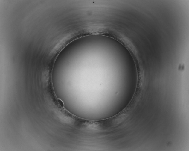 X0000111460113200907131504