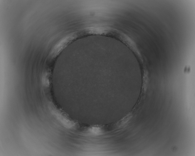 X0000111460114200907131504