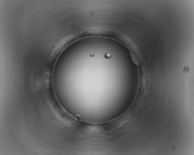 X0000111460115200907131504