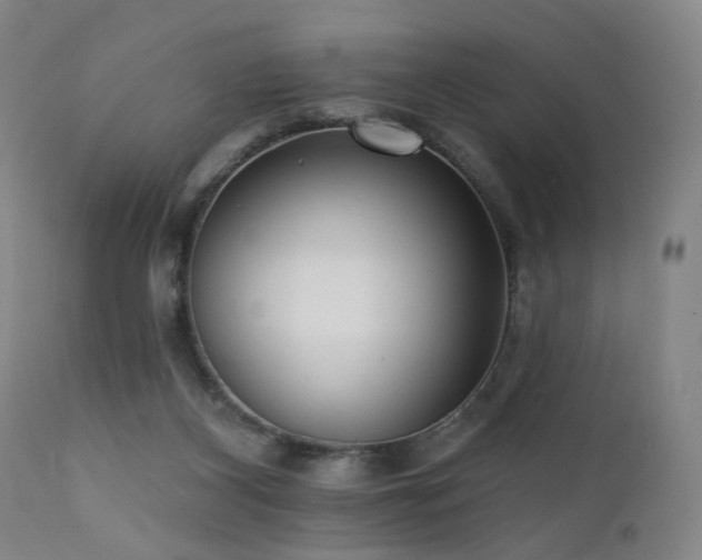 X0000111460116200907131504