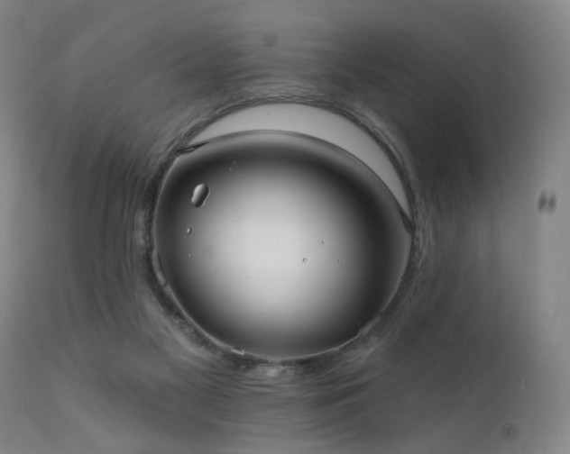 X0000111460117200907131504