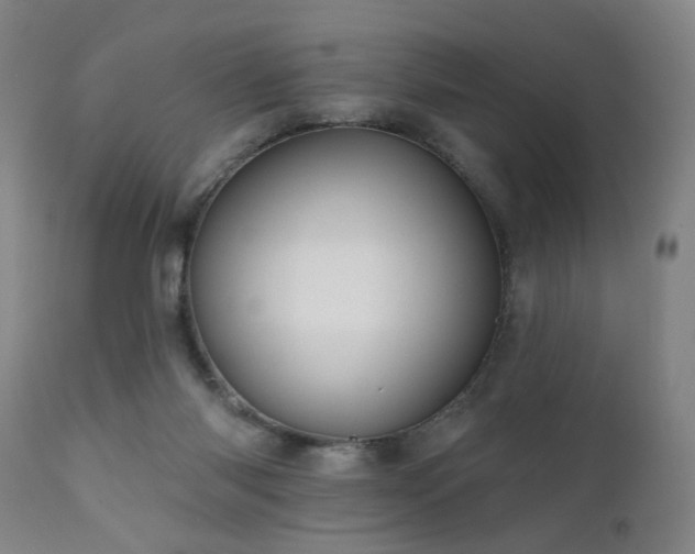 X0000111460118200907131504