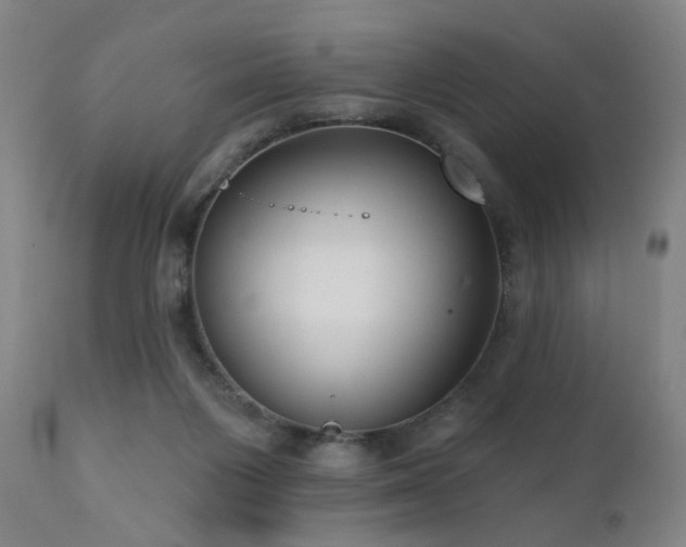 X0000111460119200907131504