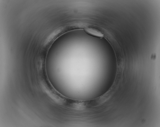 X0000111460120200907131504