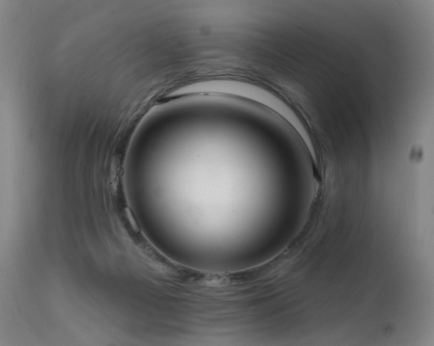 X0000111460121200907131504