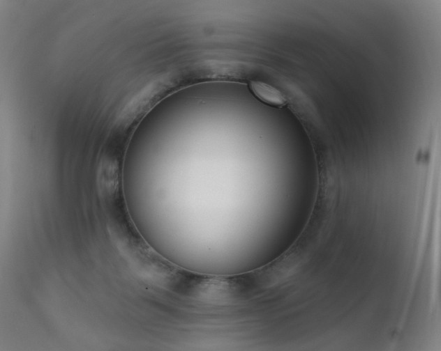 X0000111460123200907131504