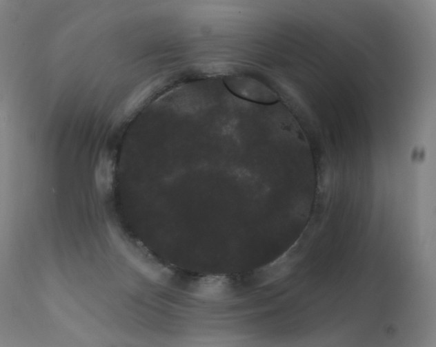 X0000111460124200907131504