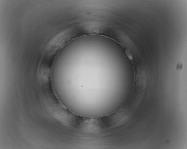 X0000111460125200907131504