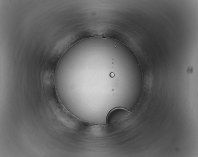 X0000111460126200907131504