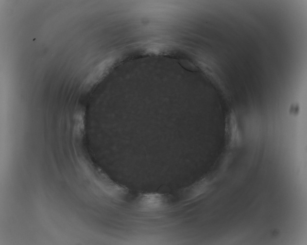 X0000111460127200907131504