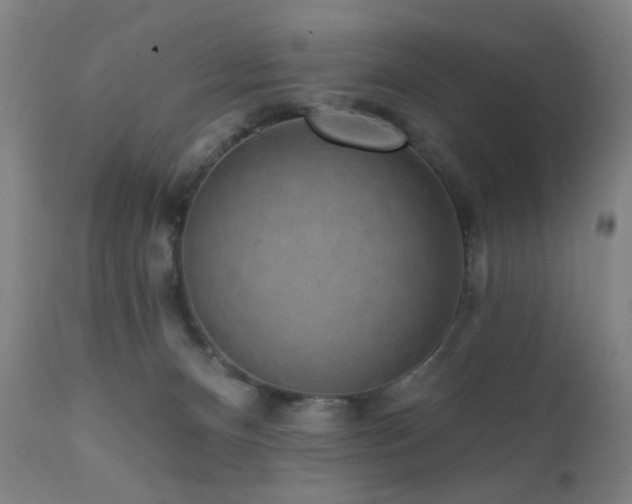 X0000111460128200907131504