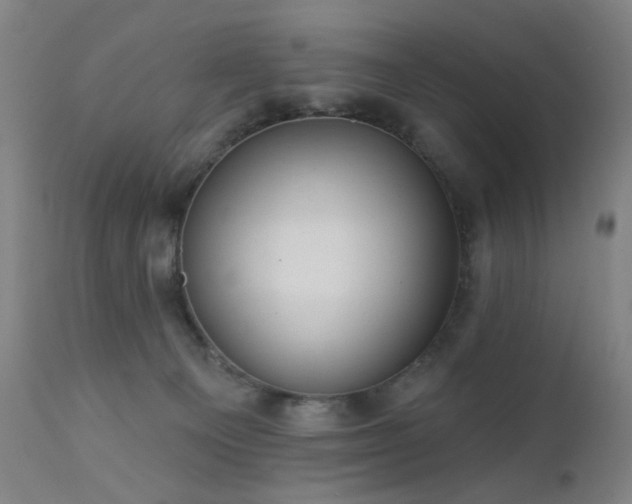 X0000111460129200907131504