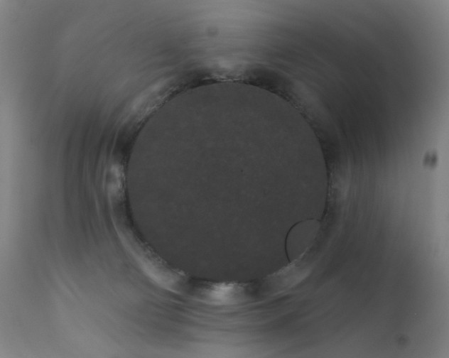 X0000111460130200907131504