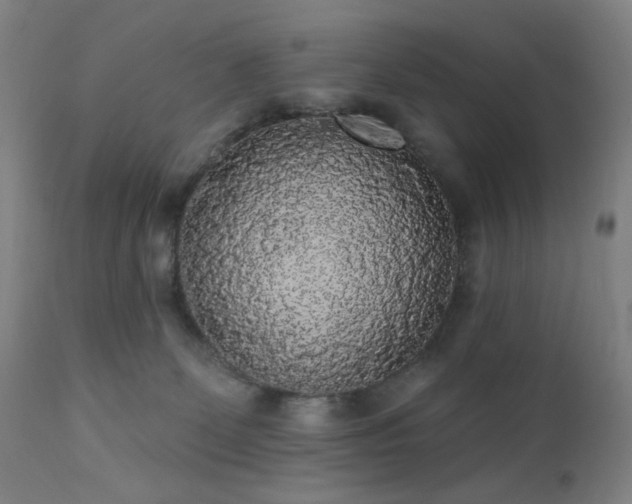 X0000111460131200907131504