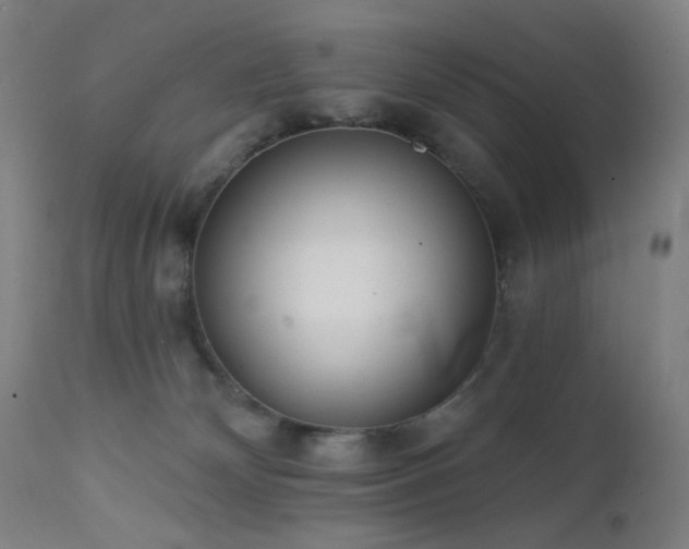 X0000111460132200907131504