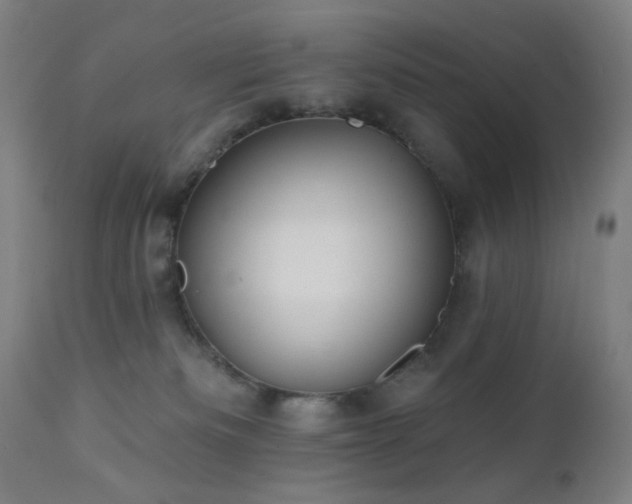 X0000111460133200907131504
