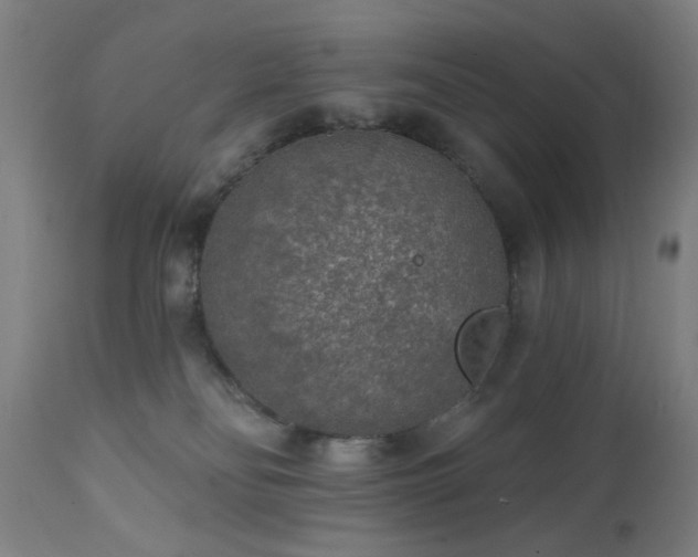 X0000111460134200907131504