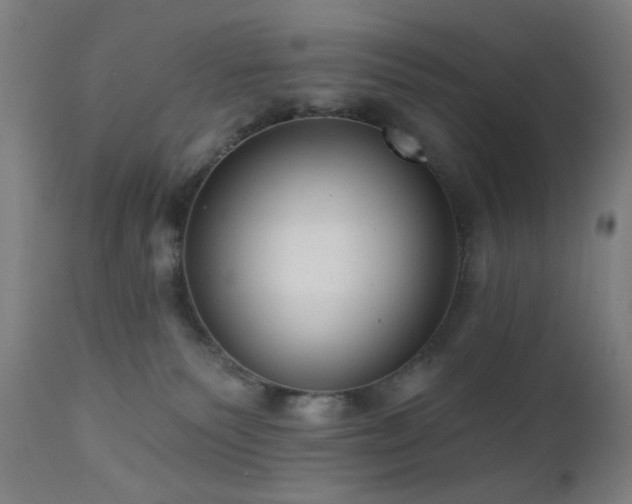 X0000111460135200907131504