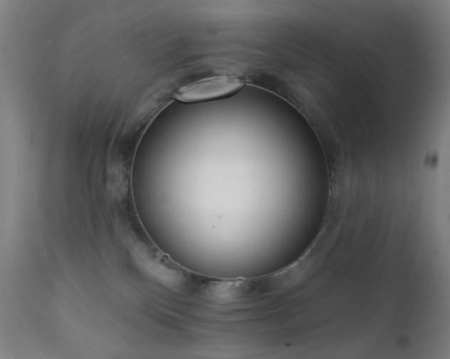 X0000111460136200907131504