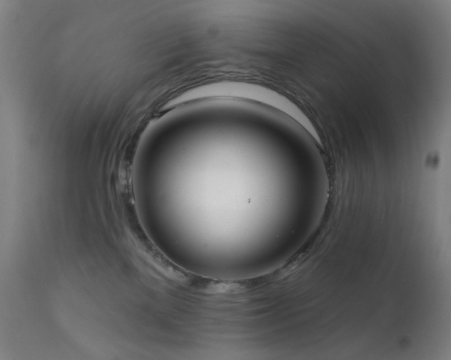 X0000111460137200907131504